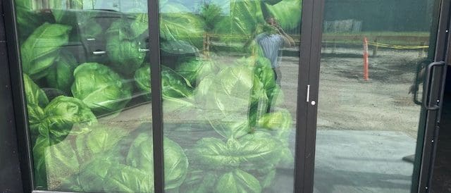 Custom retail window graphics