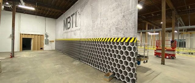 Custom wall mural with MBTI logo